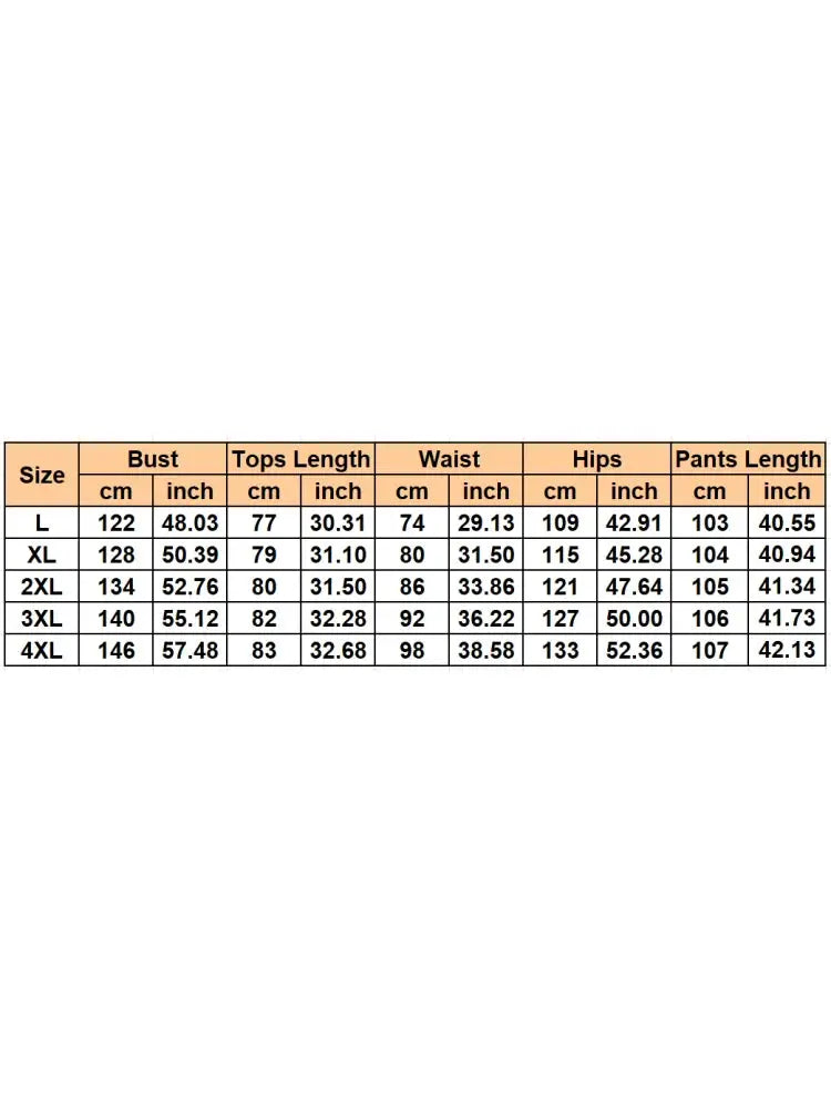 2 Piece Women Sets 2025 New Arrival Plus Size Summer Autumn Matching Sets Top And Pants Suits Oversized Outfits Clothing Chic Le'Meek